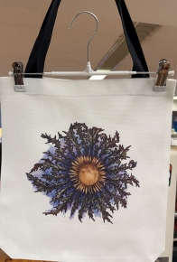 Bolsa canvas eguzkilore koloretan