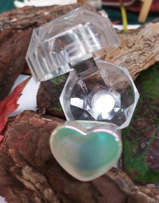 Anillo 3D resina acrlica